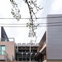 a modern building with a tree in front of it