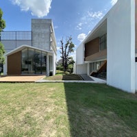 a modern house in a grassy area